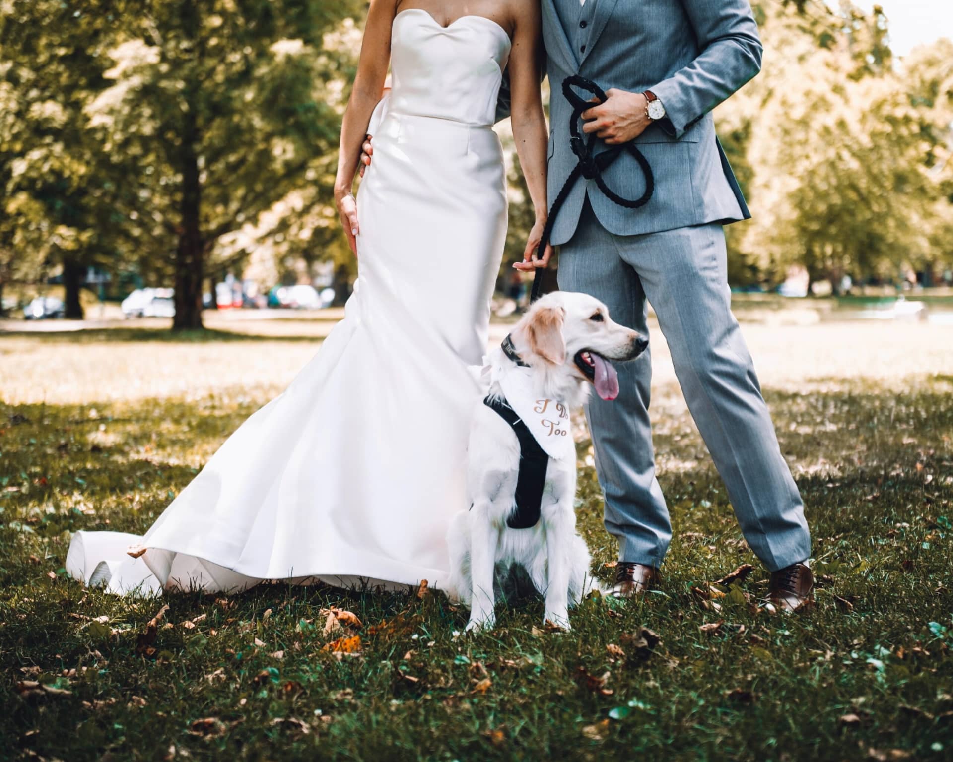 Incorporate Dog Into Your Wedding